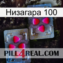 Низагара 100 15